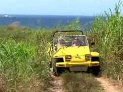 Geile Blondierte mit riesigen Titten fingert eine Votze