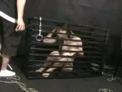 Die japanische Bitch hat eine sexy buschige Möse